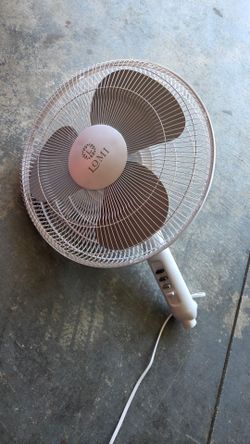 Fan