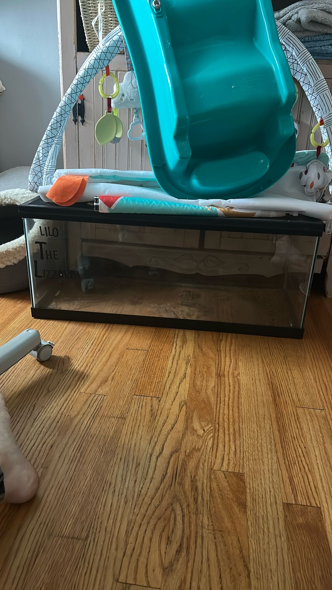 25 Gallon Reptile/fish Tank Like New