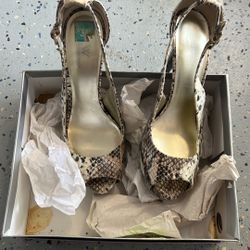Pumps 