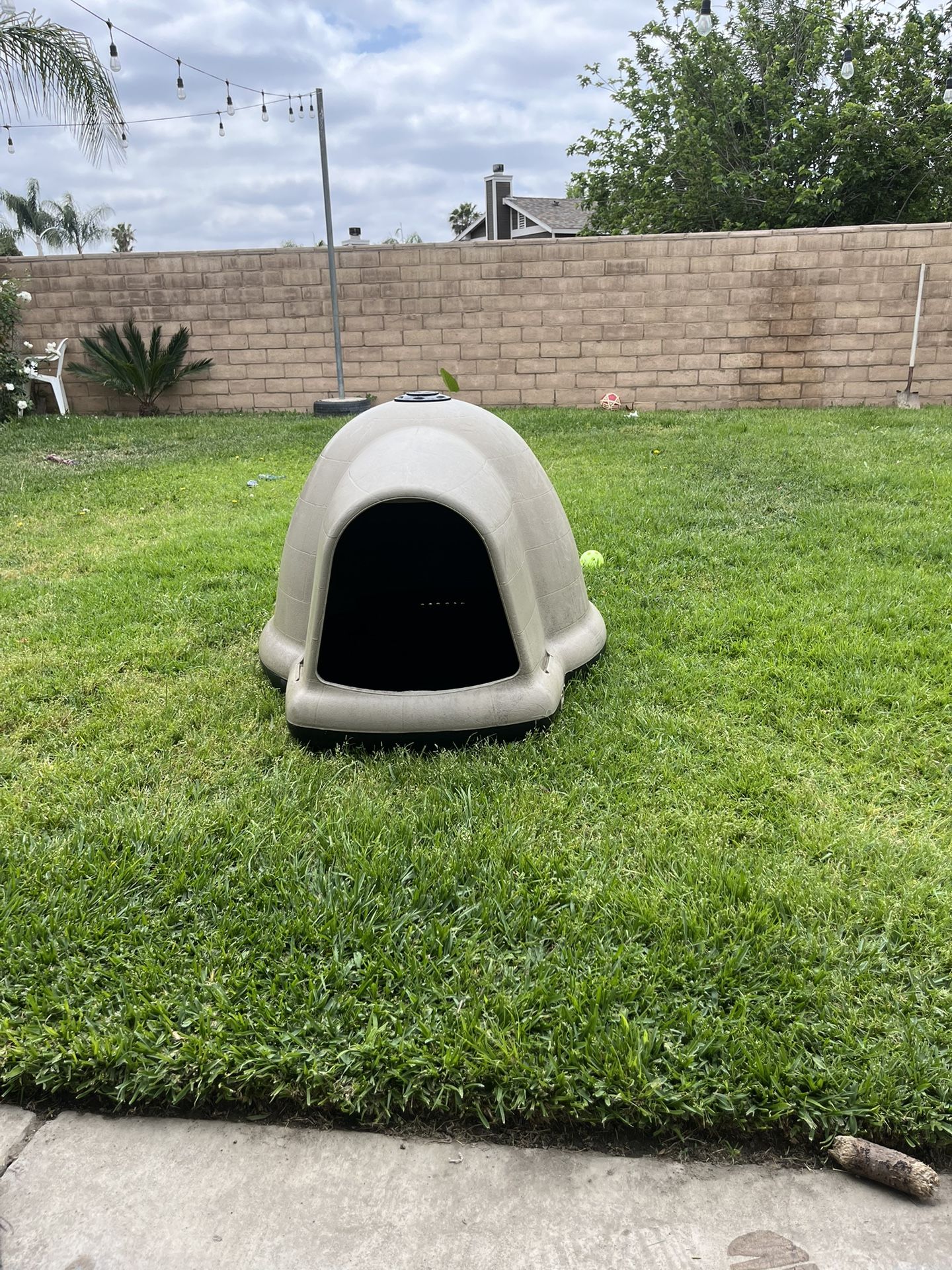 dog house
