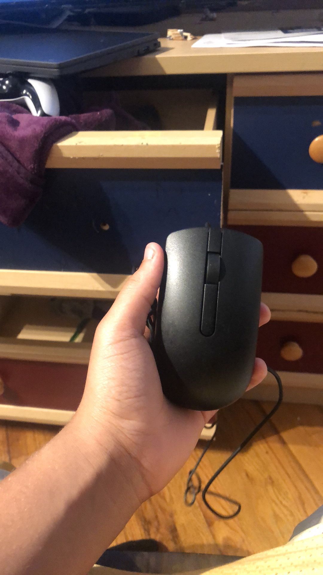 Mouse