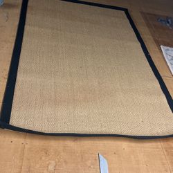 Sisal Area Carpet
