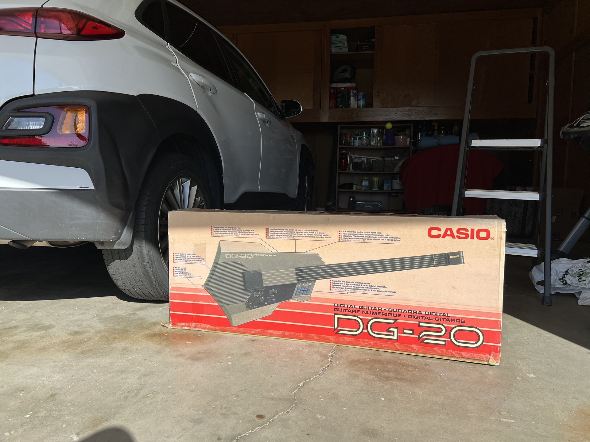 DG-20 Digital Guitar ( CASIO)