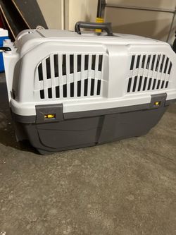 Small pet carrier
