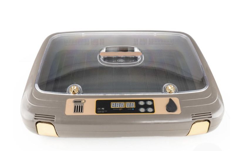 Econo 50 Eggs Incubator