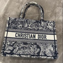 Dior Mini Tote Bag 