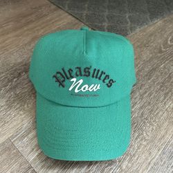 Pleasures Appointment Unconstructed Snapback