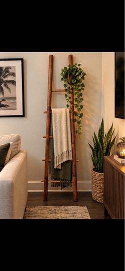 Decor ladder