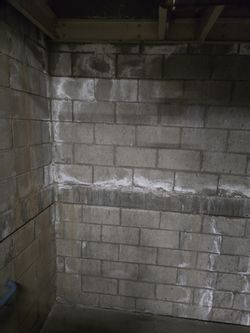 Basement Water Damage Repair
