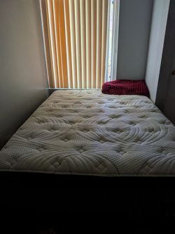 Queen bed + box spring