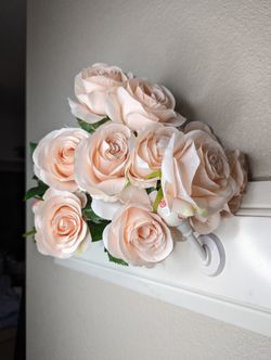 A Dozen Blush Colored Roses