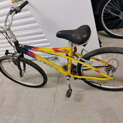 Mountain Bike
