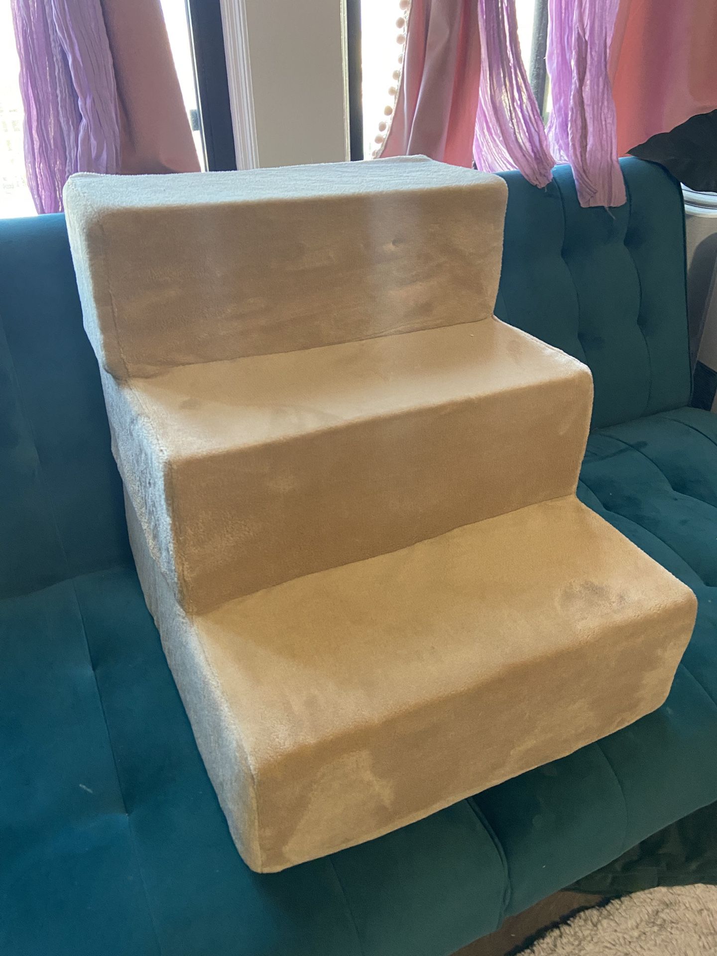Dog Stairs