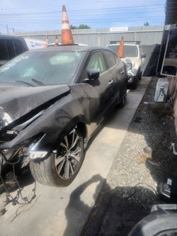 2017 maxima parts