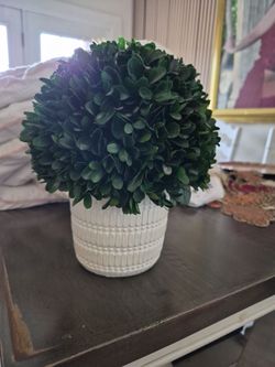 Plastic plant with nice pot 7