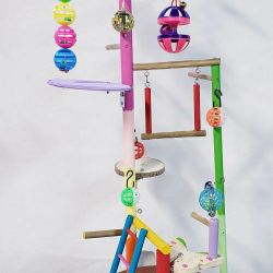 Parakeet Play Gym #10
