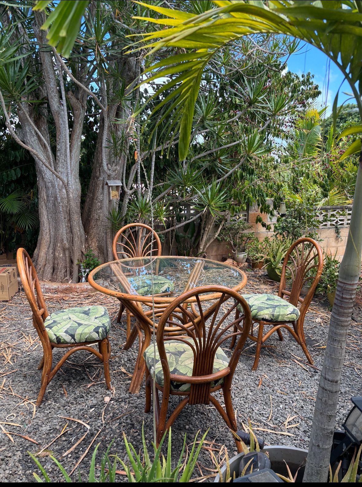 Dining Table 🌺🌺🌺