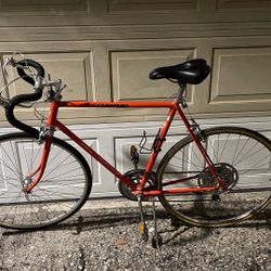 Súper Schwinn Vintage 