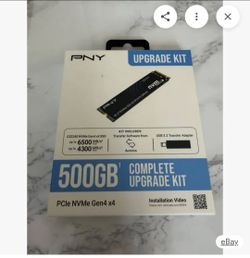 PYN 500GB UPGRADE KIT