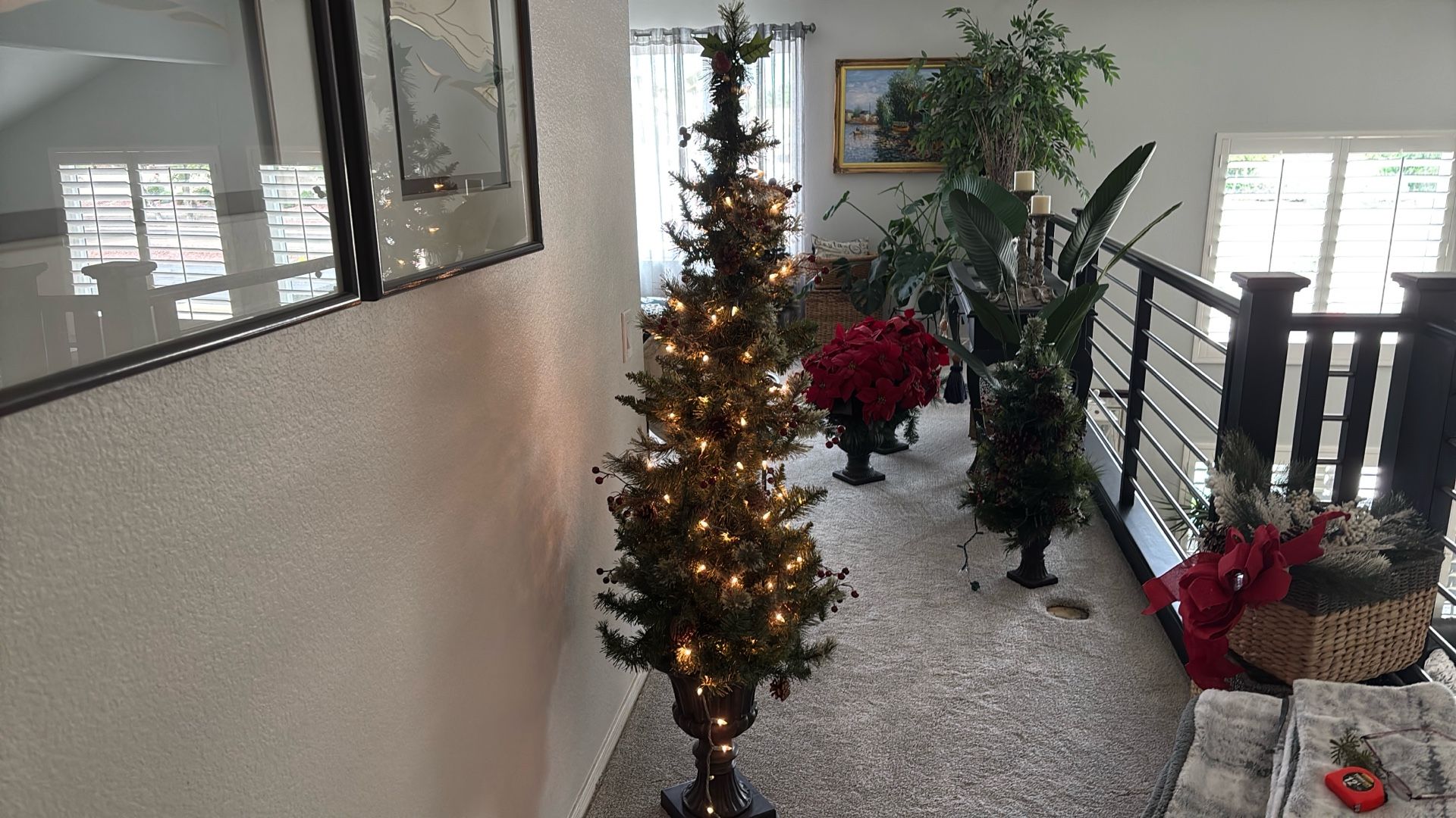 Christmas Tree Lighted
