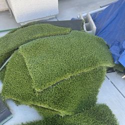 Premium Turf Remains