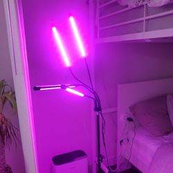 Plant Light