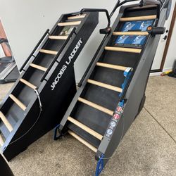 Jacobs Ladder Climbing Machine by Rogue