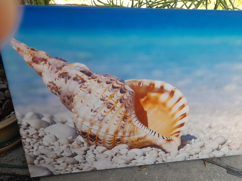 Tropical Canvas, Good Condition, PU Only