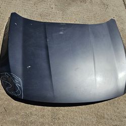 Honda accord hood Oem
