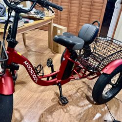 Mooncool TK1 Fat Tire Electric Bike