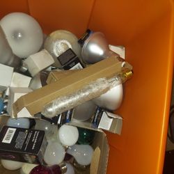 Associated  Bulbs  New  Over 100 All For 25.00 
