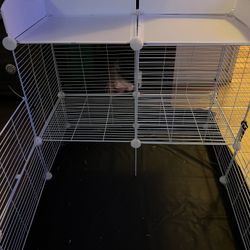 Guinea/Rabbit Housing 