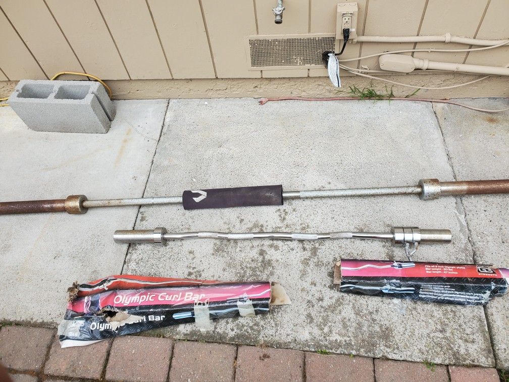 Olympic Weight Bars Curl Bar