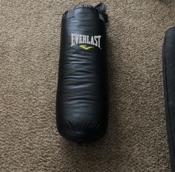 Everlast Punching Bag