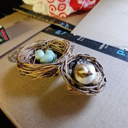 Quail Nests