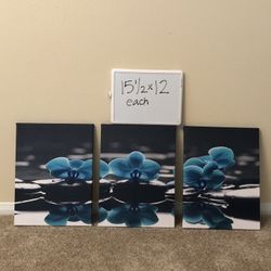 Beautiful 3 Pc Wall Set 