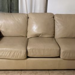 Couch/Sofa