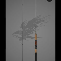 Phenix Elixir Fishing Rod