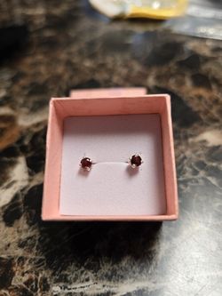 Sterling Silver Garnet Earrings
