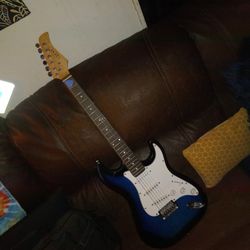 Zeny Electric Guitar