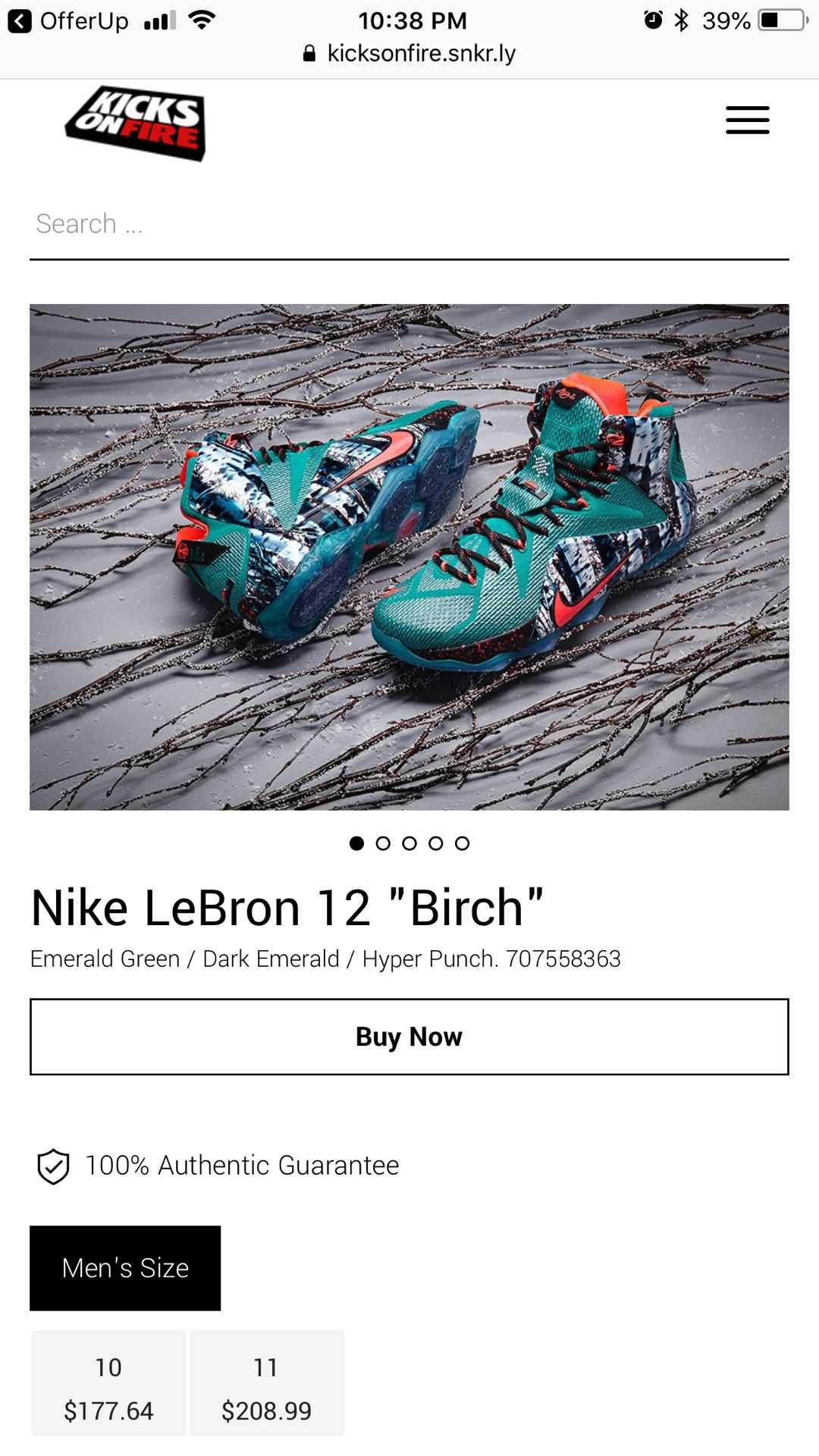 Nike Lebron 12 Birch (Excellent Condition) Limited Edition