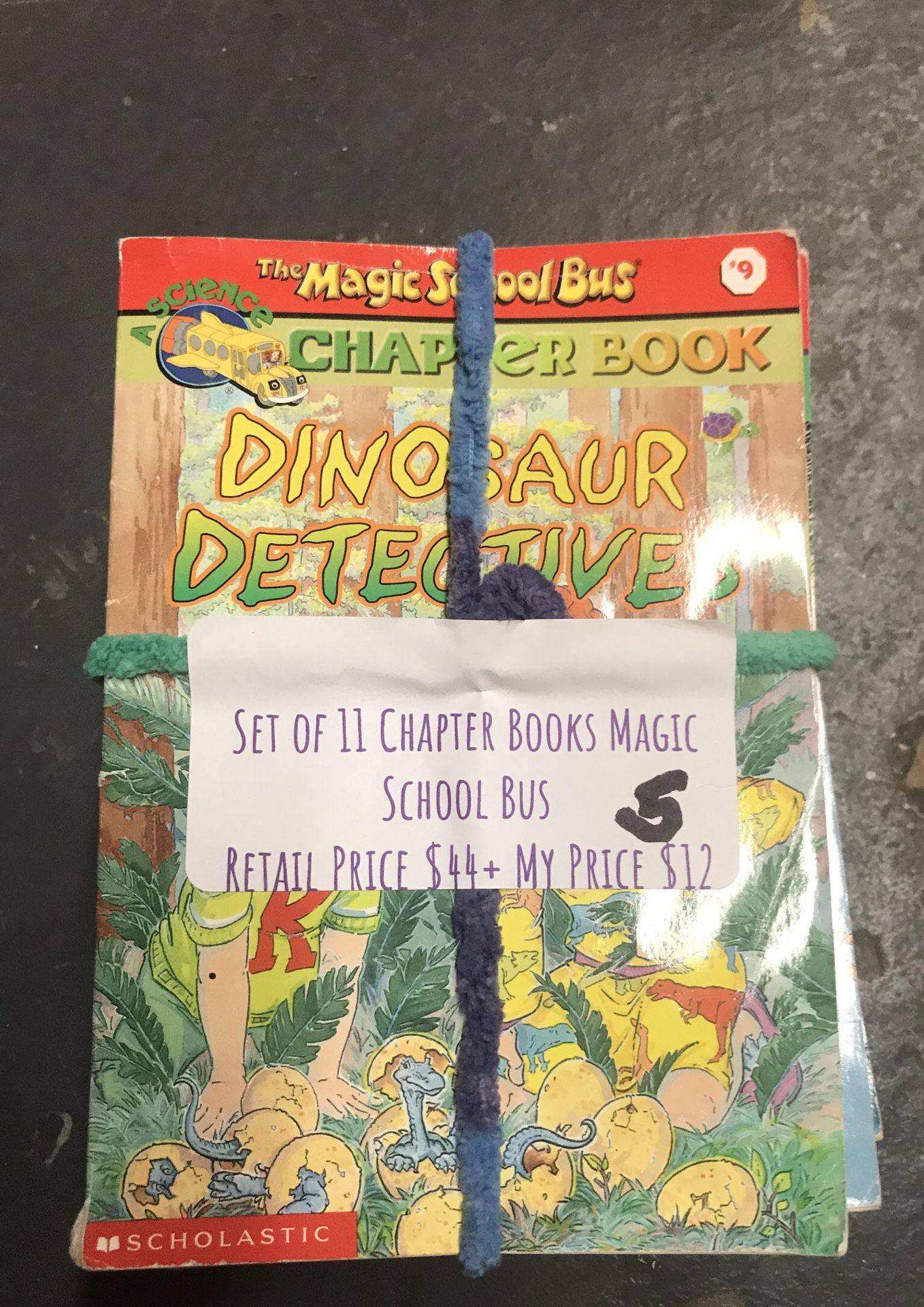 Bundle of Assorted Level M Chapter Books (Magic Tree House and Magic School Bus Spin-Offs)