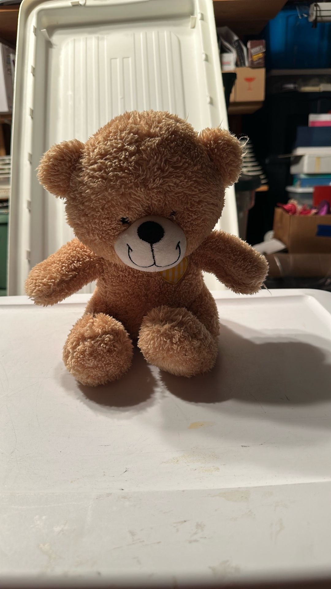 Plush Teddy Bear