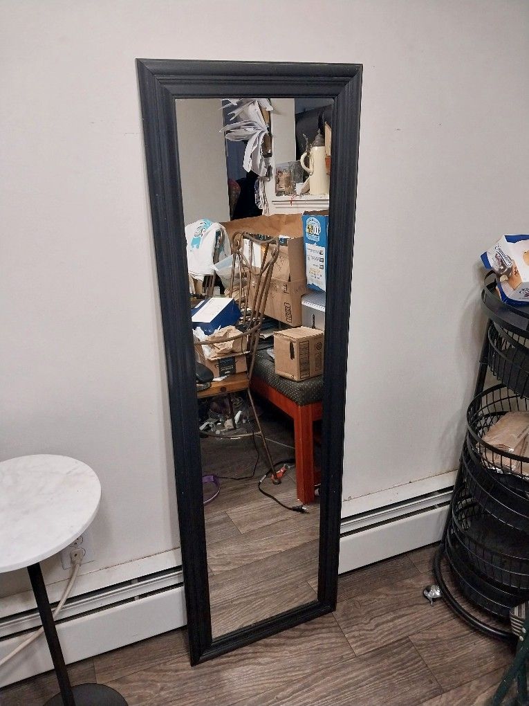 Large Full Length Mirror (52"H,X16"W)