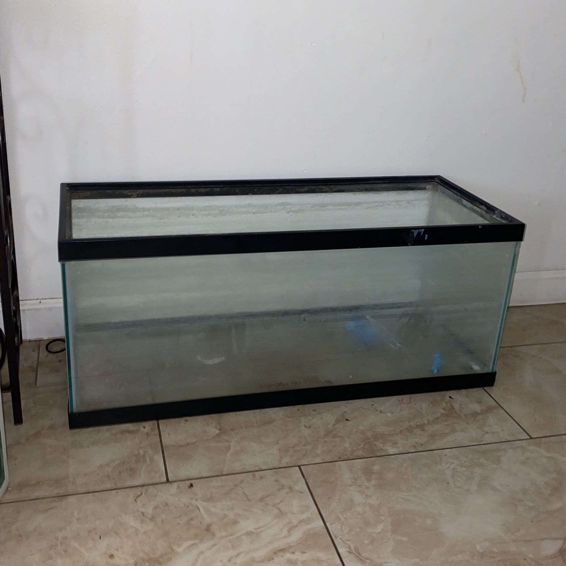 20 Gallon Long Fish Tank