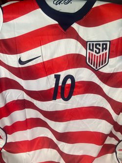 🇺🇸 USA Pulisic