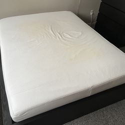 FREE Queen Mattress