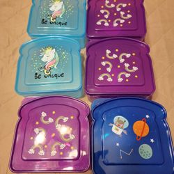 (NEW) 6 CONTAINER LARGE ENOUGH FOR 2 SANDWICHES , SNACKS, OR OTHER ITEMS