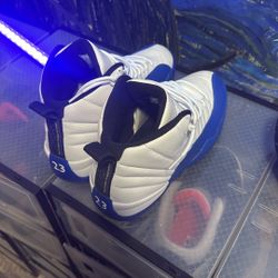 Air Jordan Blueberry 12s 