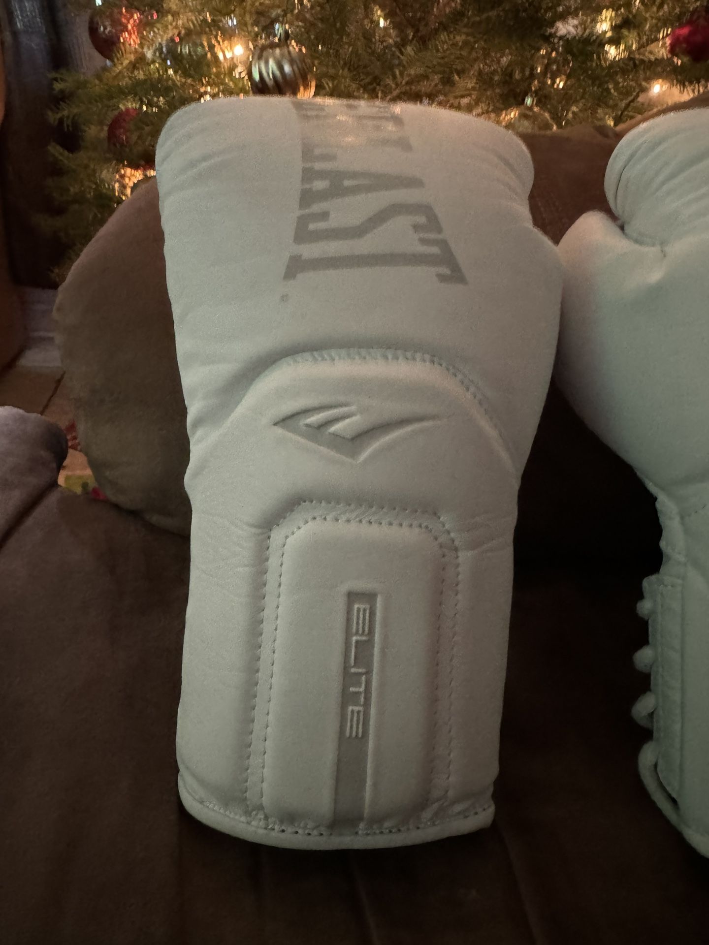 Everlast Elite Pro 2 Boxing Gloves